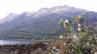 Imagen biodiversidad guango